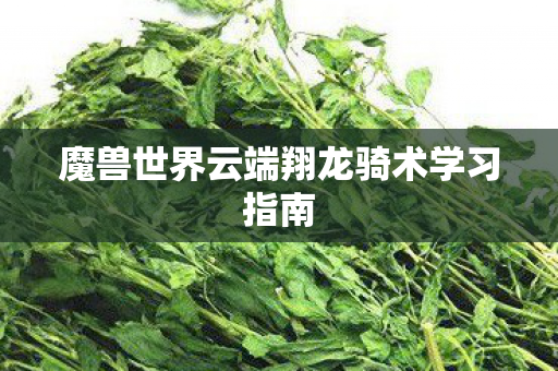 魔兽世界云端翔龙骑术学习指南图片