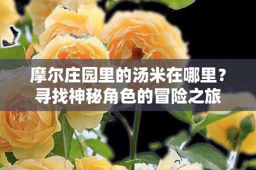 摩尔庄园里的汤米在哪里图片
