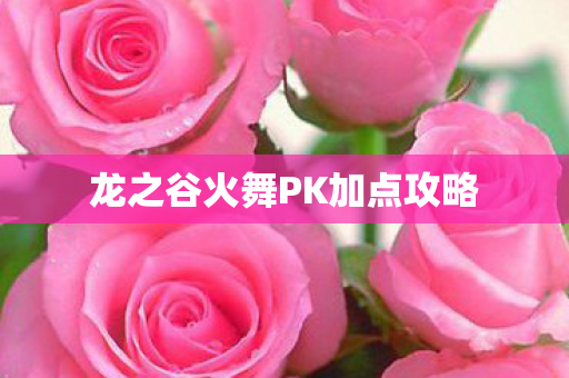 龙之谷火舞PK加点攻略图片