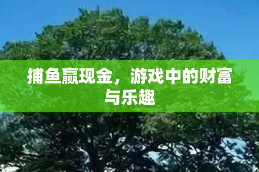 游戏中的财富与乐趣图片