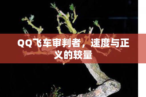 速度与正义的较量图片