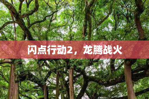 闪点行动2图片