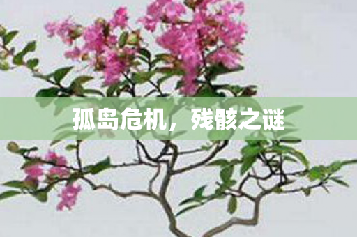 孤岛危机图片