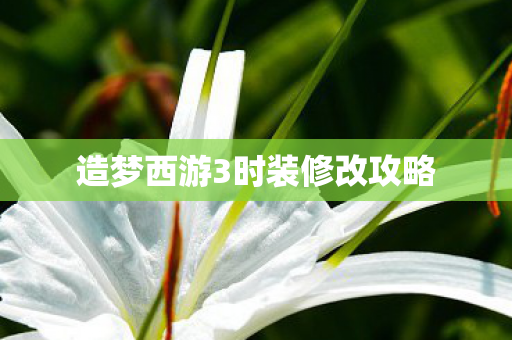 造梦西游3时装修改攻略图片