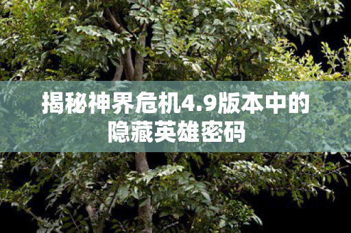 9版本中的隐藏英雄密码图片