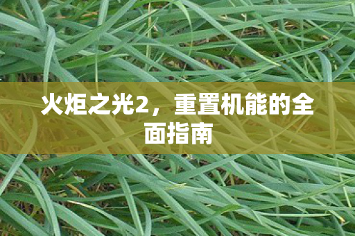 重置机能的全面指南图片