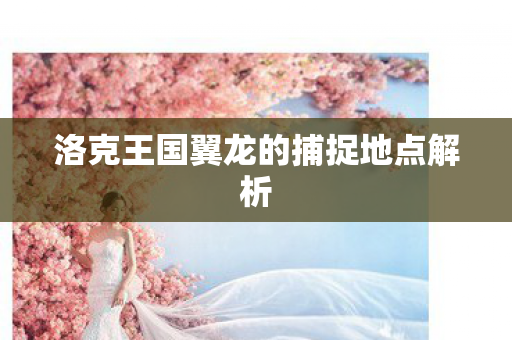 洛克王国翼龙的捕捉地点解析图片