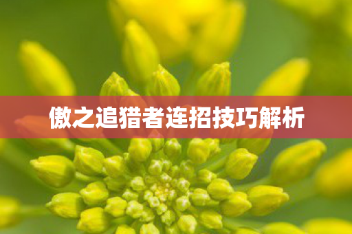 傲之追猎者连招技巧解析图片