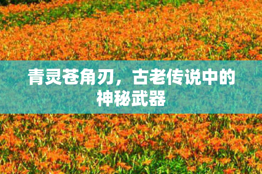 古老传说中的神秘武器图片