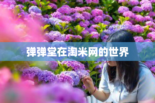 弹弹堂在淘米网的世界