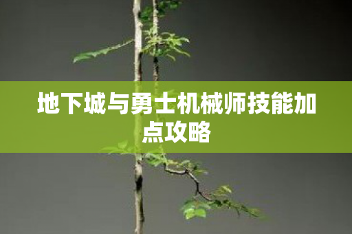 地下城与勇士机械师技能加点攻略 地下城与勇士机械师技能加点攻略
