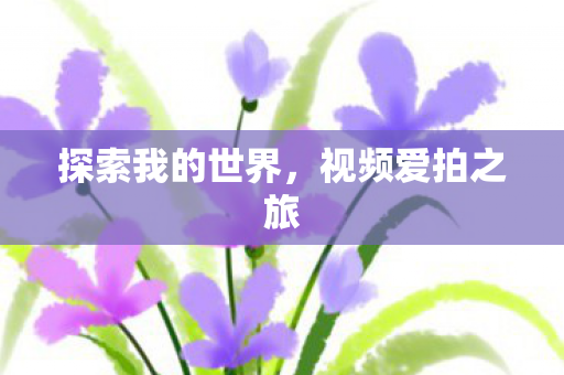探索我的世界，视频爱拍之旅