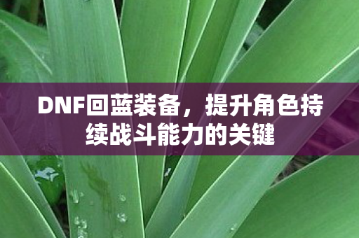 提升角色持续战斗能力的关键图片