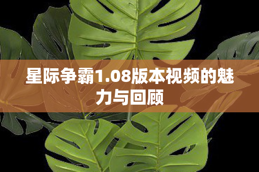 08版本视频的魅力与回顾图片