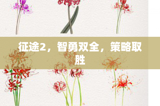 智勇双全图片