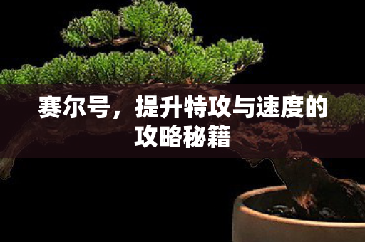 提升特攻与速度的攻略秘籍图片