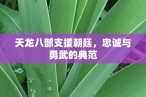 天龙八部支援朝廷图片