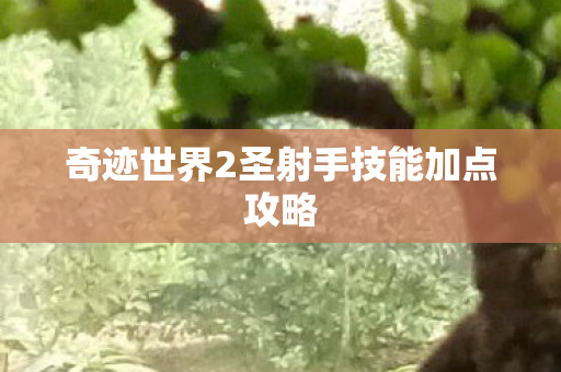 奇迹世界2圣射手技能加点攻略图片