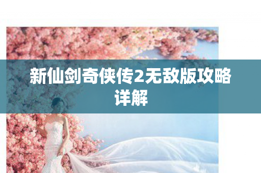 新仙剑奇侠传2无敌版攻略详解图片
