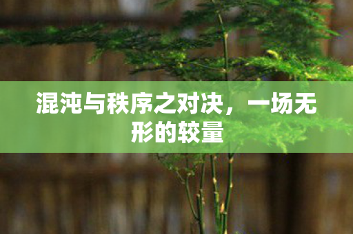 混沌与秩序之对决图片