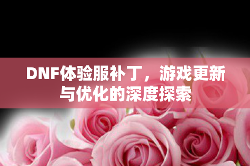 游戏更新与优化的深度探索图片