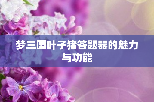 梦三国叶子猪答题器的魅力与功能图片