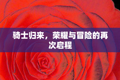 荣耀与冒险的再次启程图片
