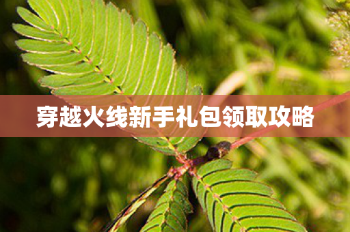穿越火线新手礼包领取攻略图片