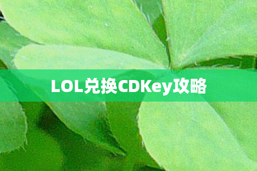 LOL兑换CDKey攻略图片