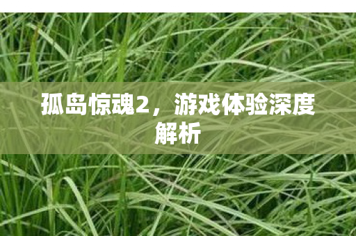 游戏体验深度解析图片