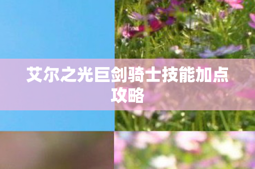 艾尔之光巨剑骑士技能加点攻略图片