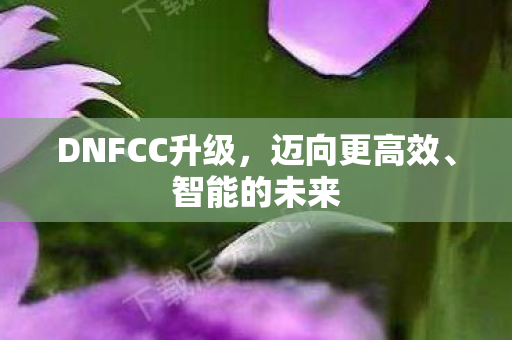 DNFCC升级图片