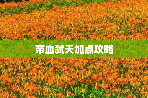 帝血弑天加点攻略图片