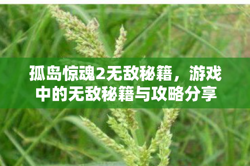 游戏中的无敌秘籍与攻略分享图片
