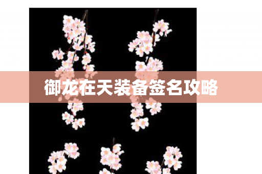 御龙在天装备签名攻略图片