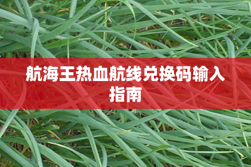 航海王热血航线兑换码输入指南 航海王热血航线兑换码输入指南