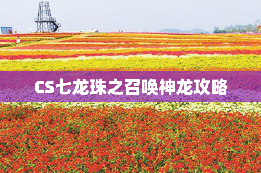 CS七龙珠之召唤神龙攻略图片