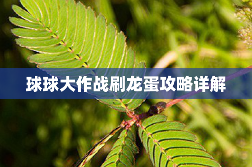 球球大作战刷龙蛋攻略详解图片