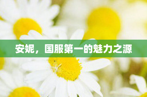 国服第一的魅力之源图片