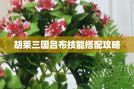 胡莱三国吕布技能搭配攻略图片