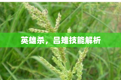 吕雉技能解析图片