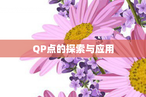 QP点的探索与应用图片