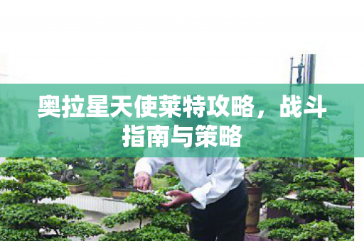 奥拉星天使莱特攻略图片