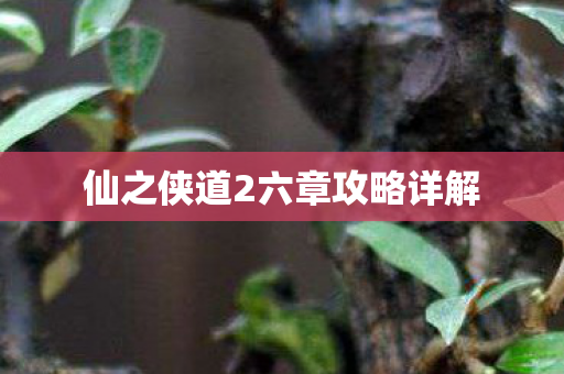 仙之侠道2六章攻略详解图片