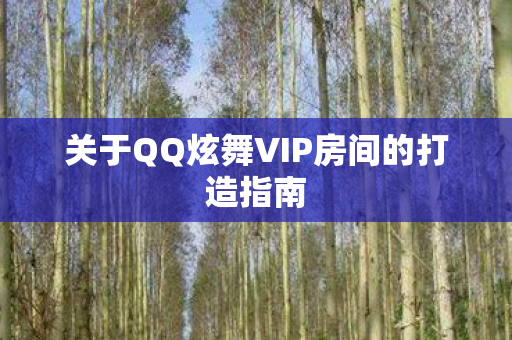 关于QQ炫舞VIP房间的打造指南图片
