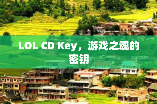 LOL CD Key图片