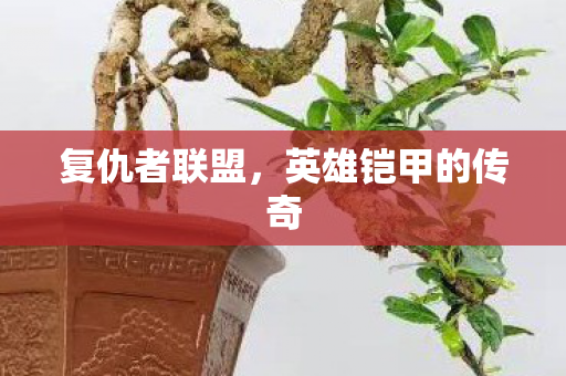 英雄铠甲的传奇图片