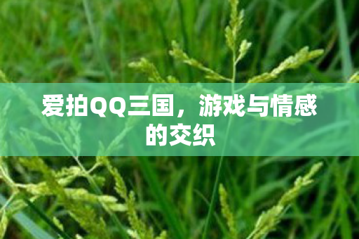 游戏与情感的交织图片