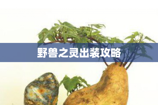 野兽之灵出装攻略图片