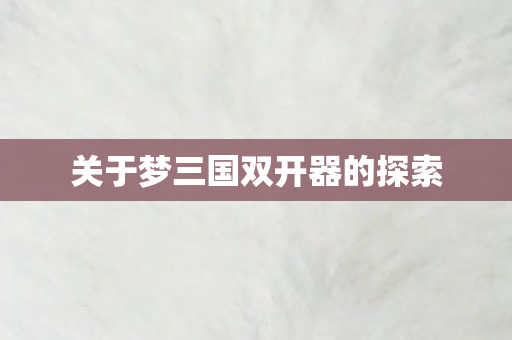 关于梦三国双开器的探索图片